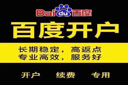 提升关键词竞价排名转化率：经典案例解析